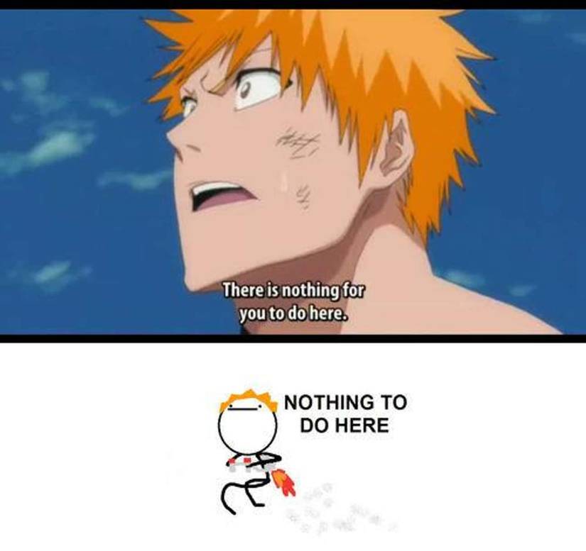 Kurosaki Ichigo nothing to do here meme