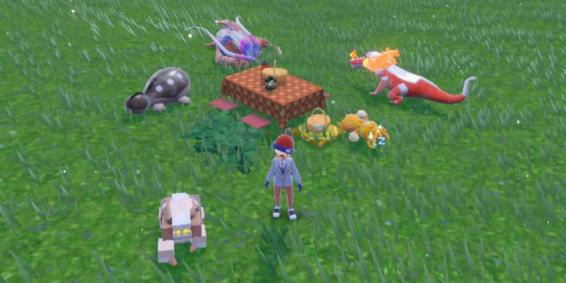 Picnic In Pokemon Scarlet & Violet
