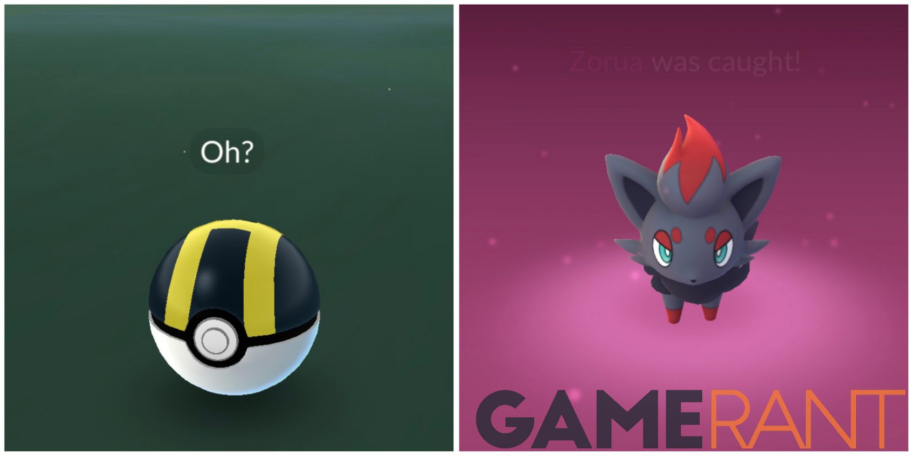Pokemon GO How To Catch Zorua