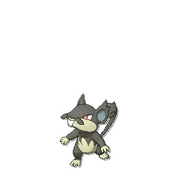 pokemon-regional-forms-alolan-rattata