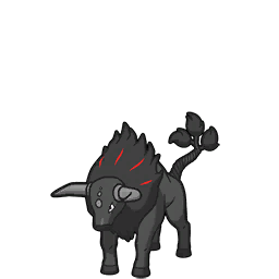 pokemon-regional-forms-paldean-tauros-fire