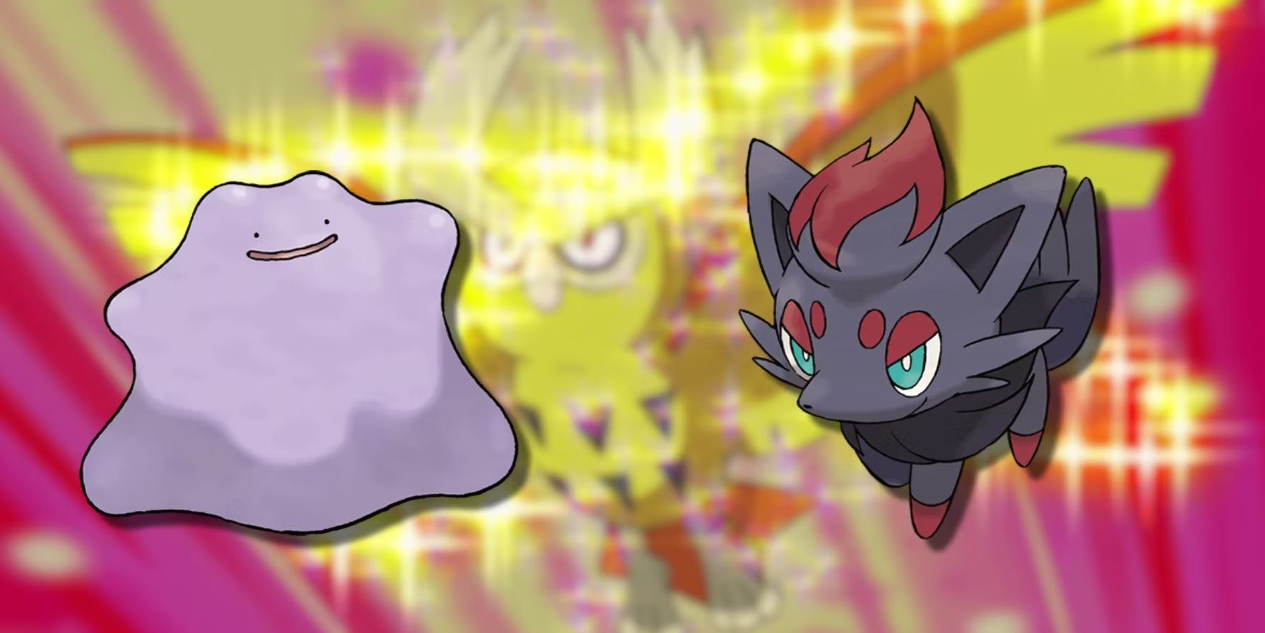 pokemon scarlet and violet ditto and zorua