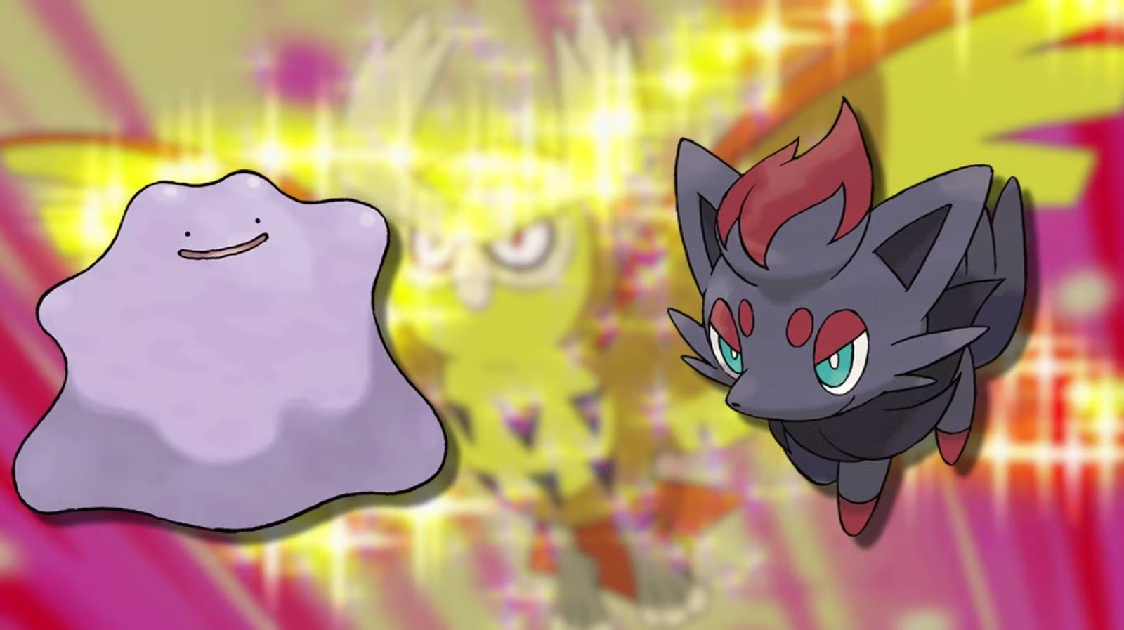 pokemon scarlet and violet ditto and zorua