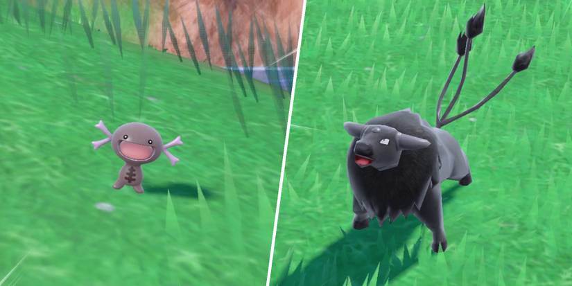 pokemon-scarlet-and-violet-paldean-forms-featured-1