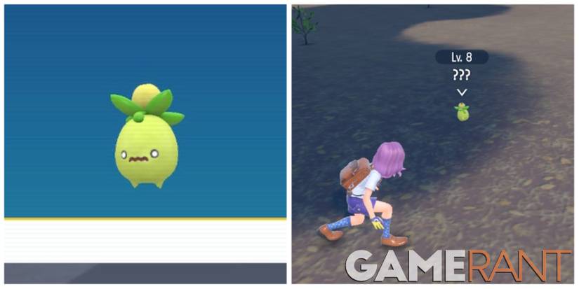 pokemon scarlet and violet smoliv encounter