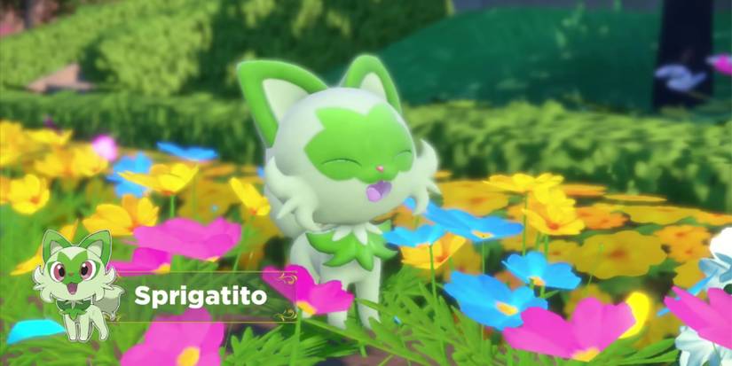 pokemon scarlet and violet sprigatito