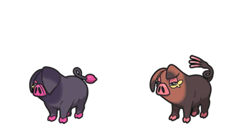 pokemon scarlet violet Oinkologne lechonk