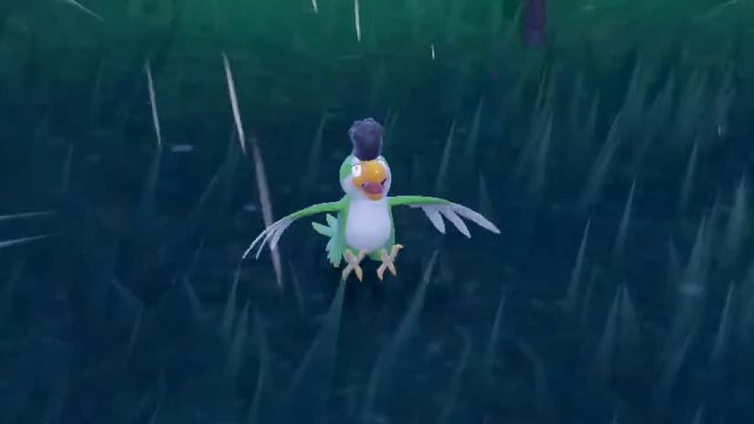 pokemon scarlet violet squawkabilly