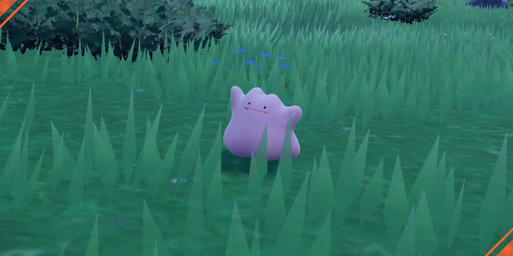 How to catch Ditto in Pokemon GO (January 2023)