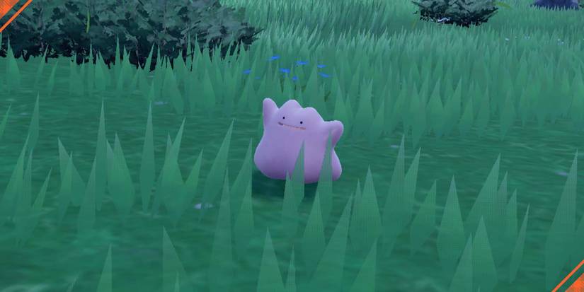 Ditto in the grass in Pokemon Scarlet and Violet