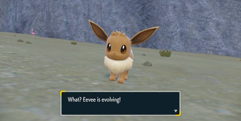 PokemonEeveeEvolving