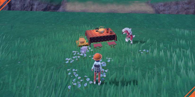 PokemonPicnicDittoLycanroc