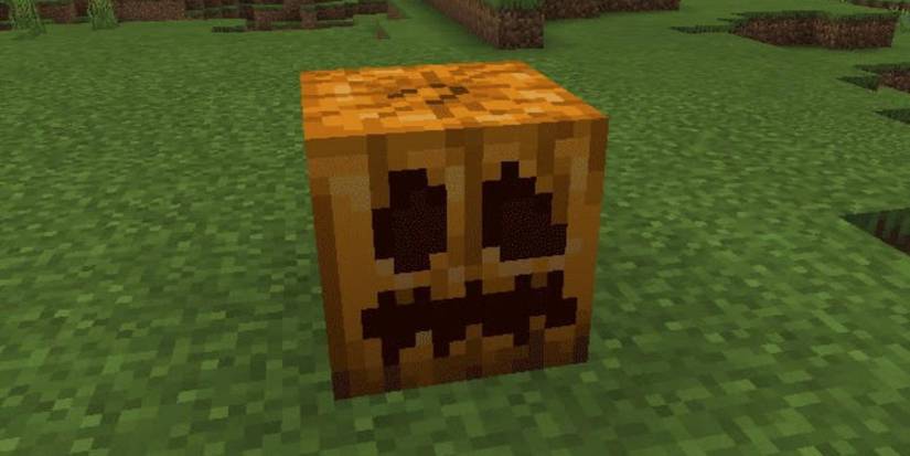 pumpkin head minecraft (1)