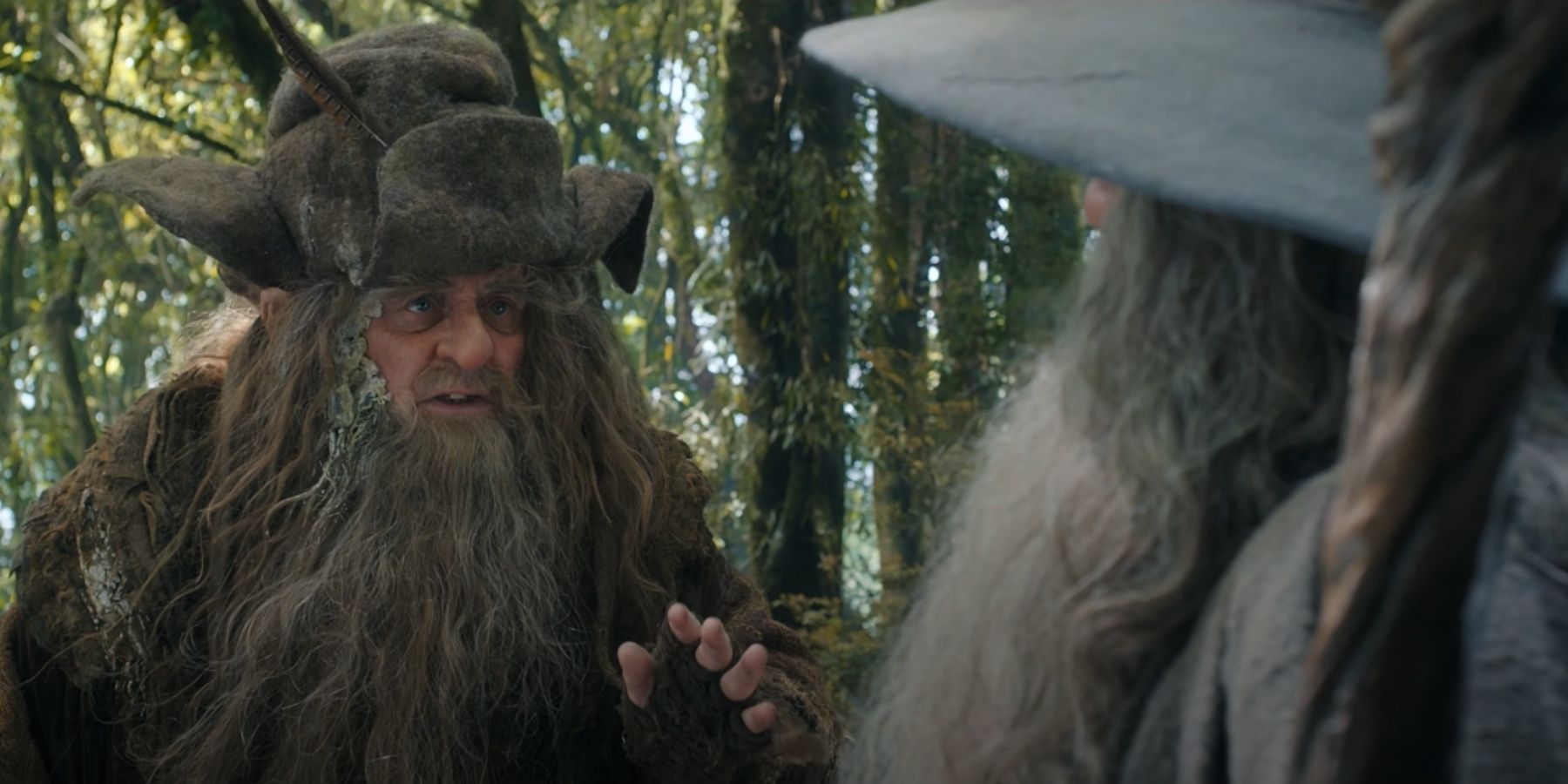 Radagast and Gandalf