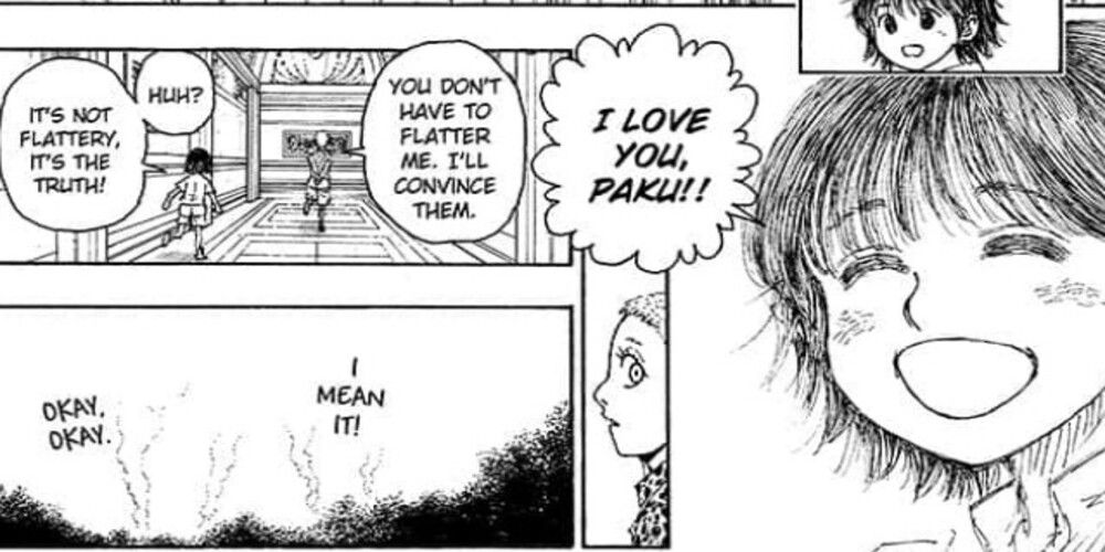 Hunter x Hunter 396: What To Expect From The Chapter