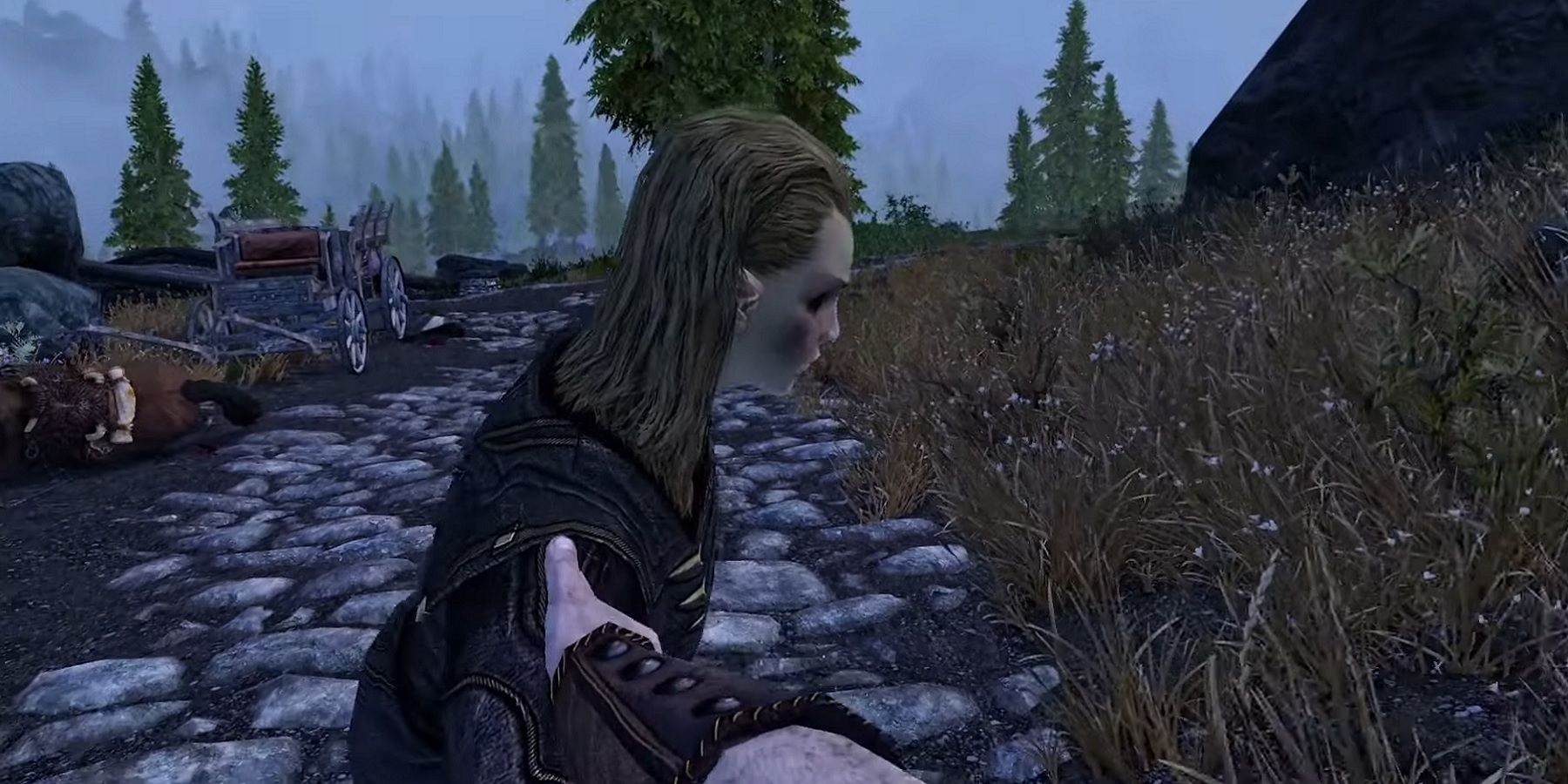 Image from Skyrim VR showing the player dragging Elenwen along a road.