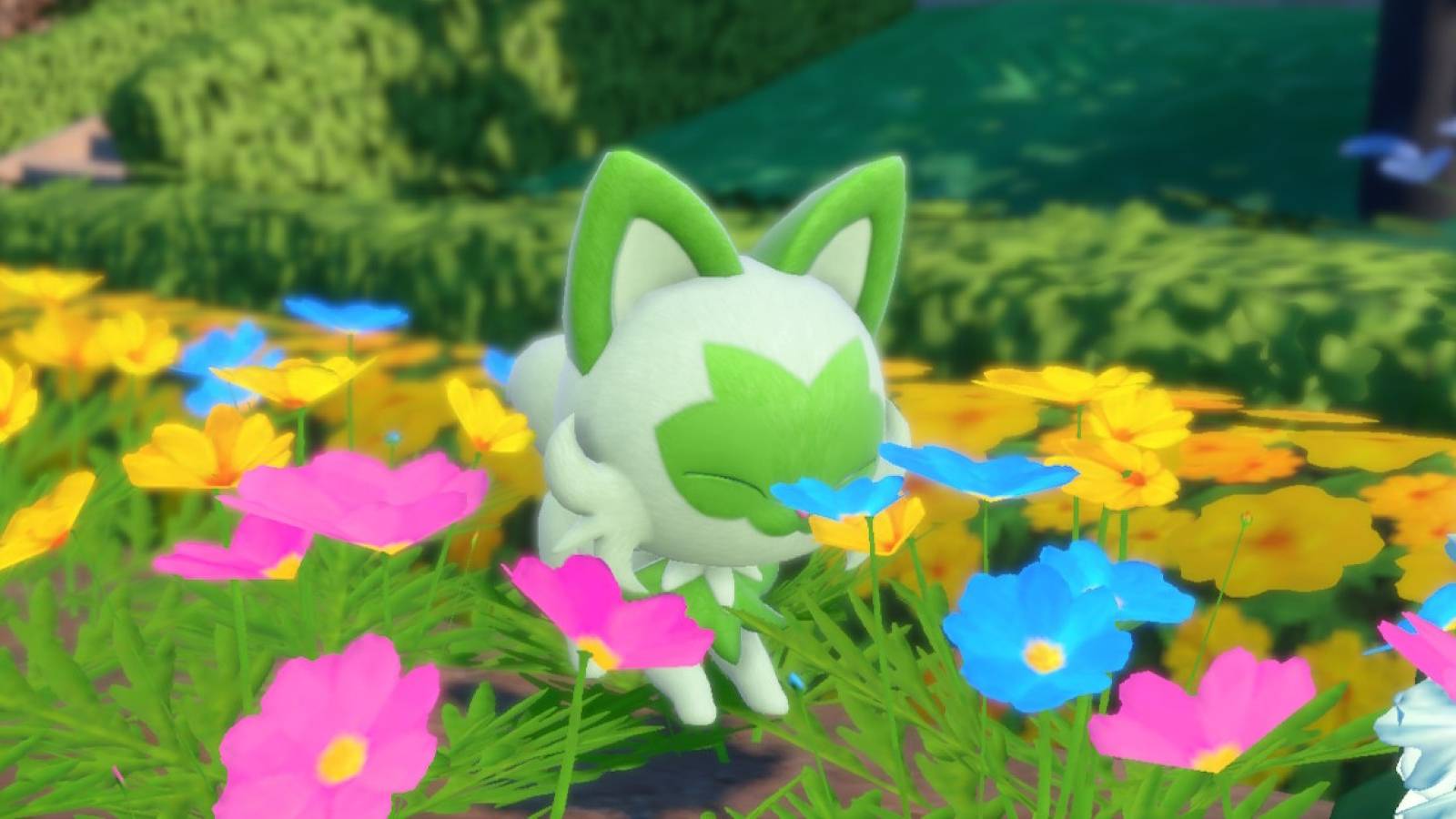 sprigatito-pokemon-scarlet-violet