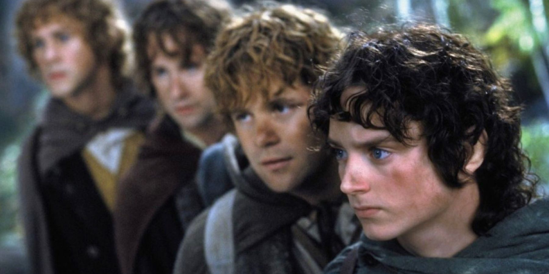 the four hobbits