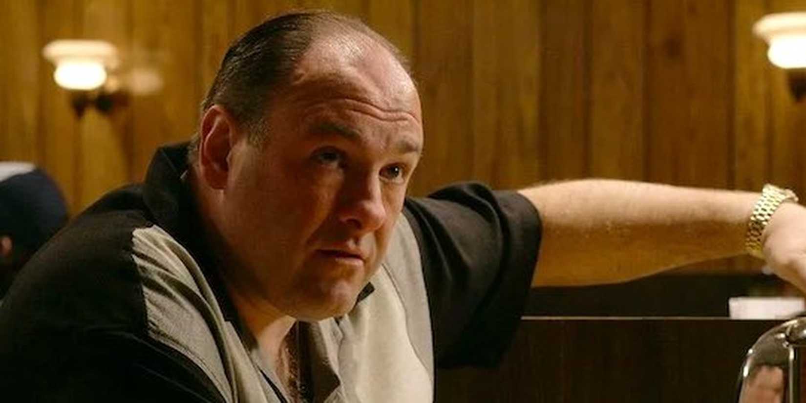 Tony Soprano in The Sopranos