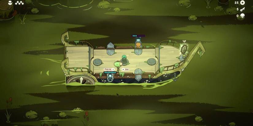 Loaded Cannons Ship Of Fools