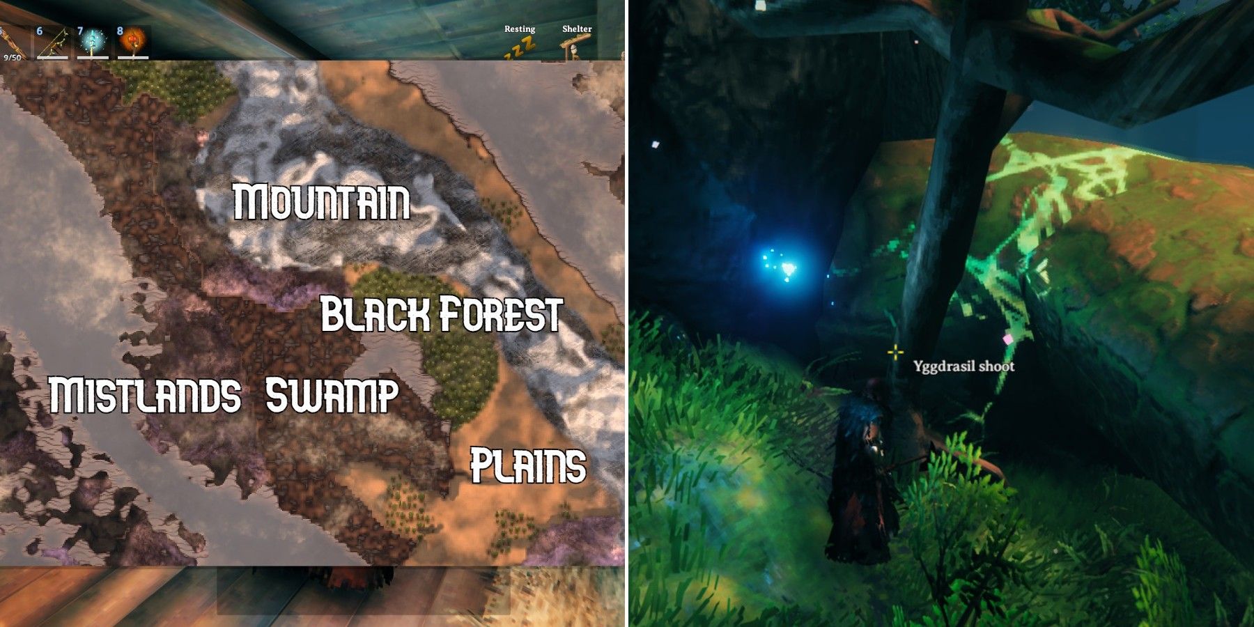 valheim biome map and mistlands tree