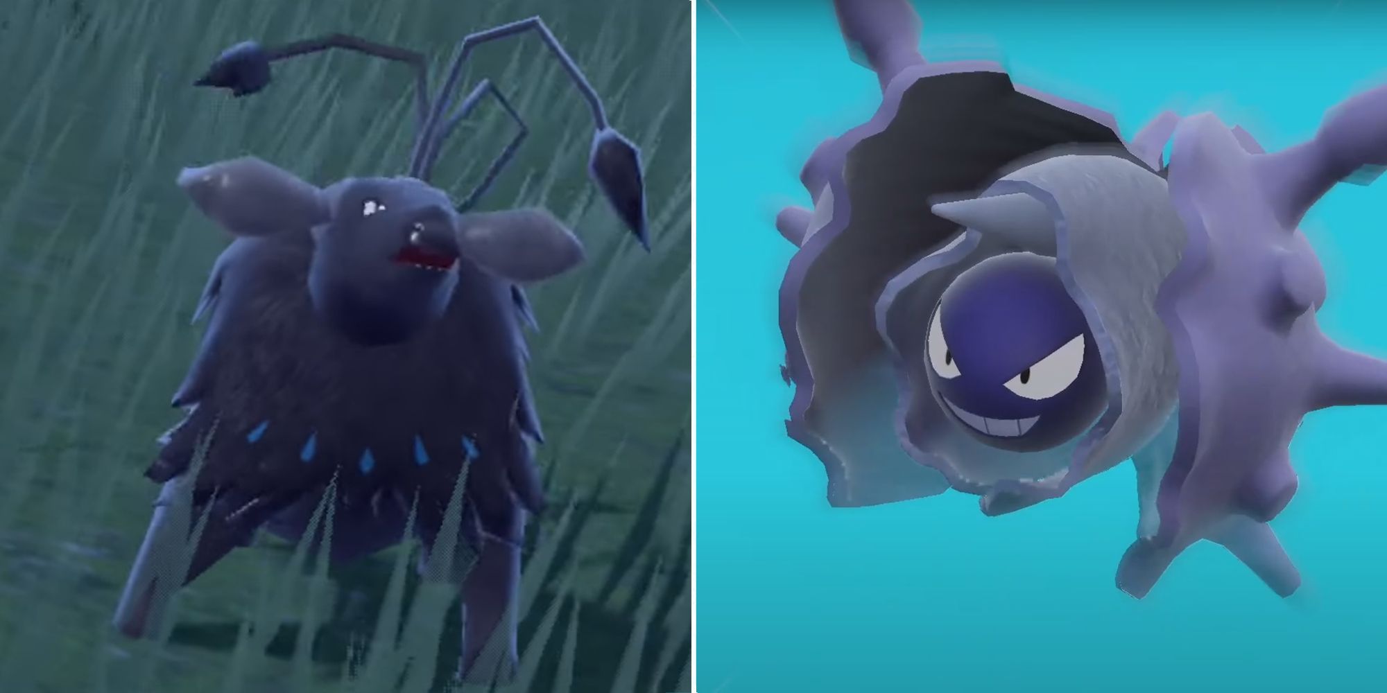 Water type Paldean Tauros and Cloyster seen in Pokemon Scarlet & Violet