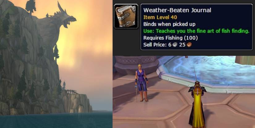 weather beaten journal split image