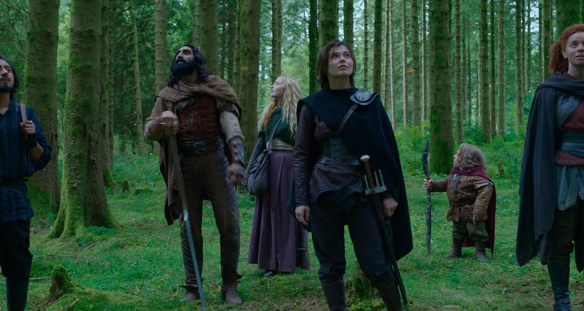 Willow-2022-show Cropped