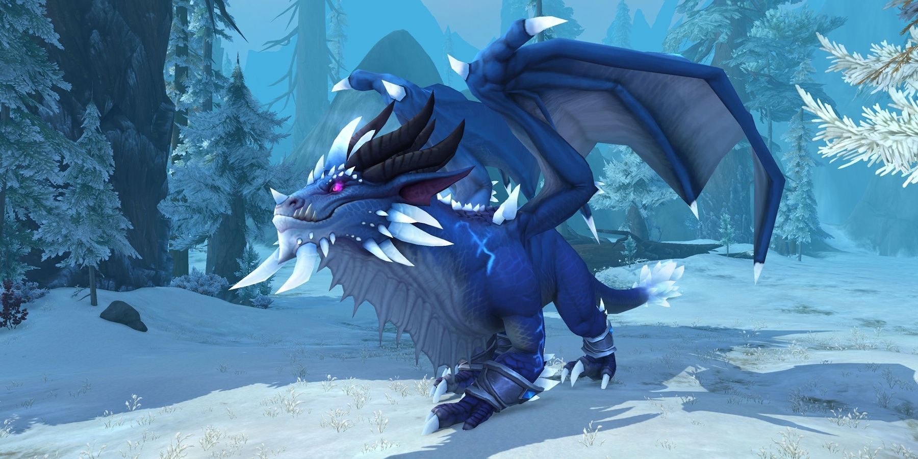 wow dragonflight customize dragon