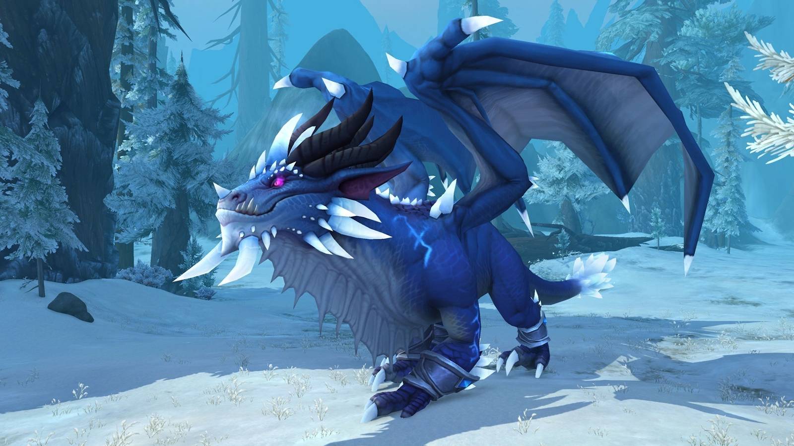 wow dragonflight customize dragon