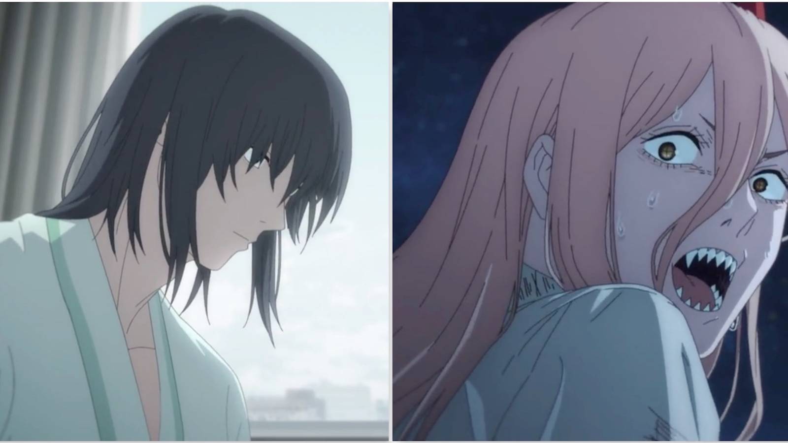 Aki and Power in Chainsaw Man