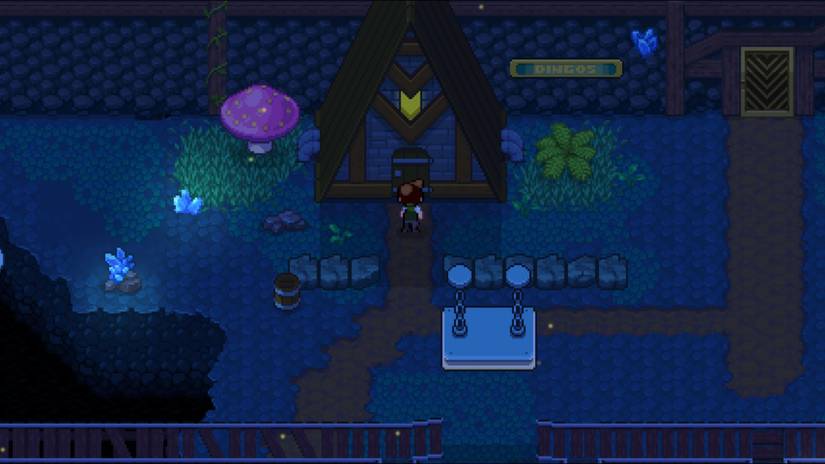 cricket member 1 sports story