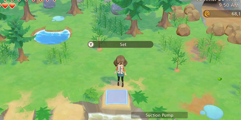 A pond near the Farm