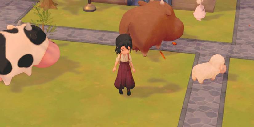 A Story of Seasons player surrounded by their Farm