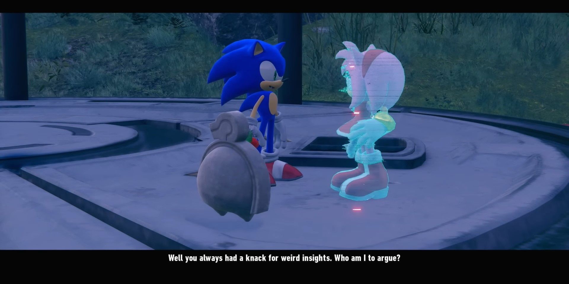 Sonic and Amy talk about why she can understand the Kocos