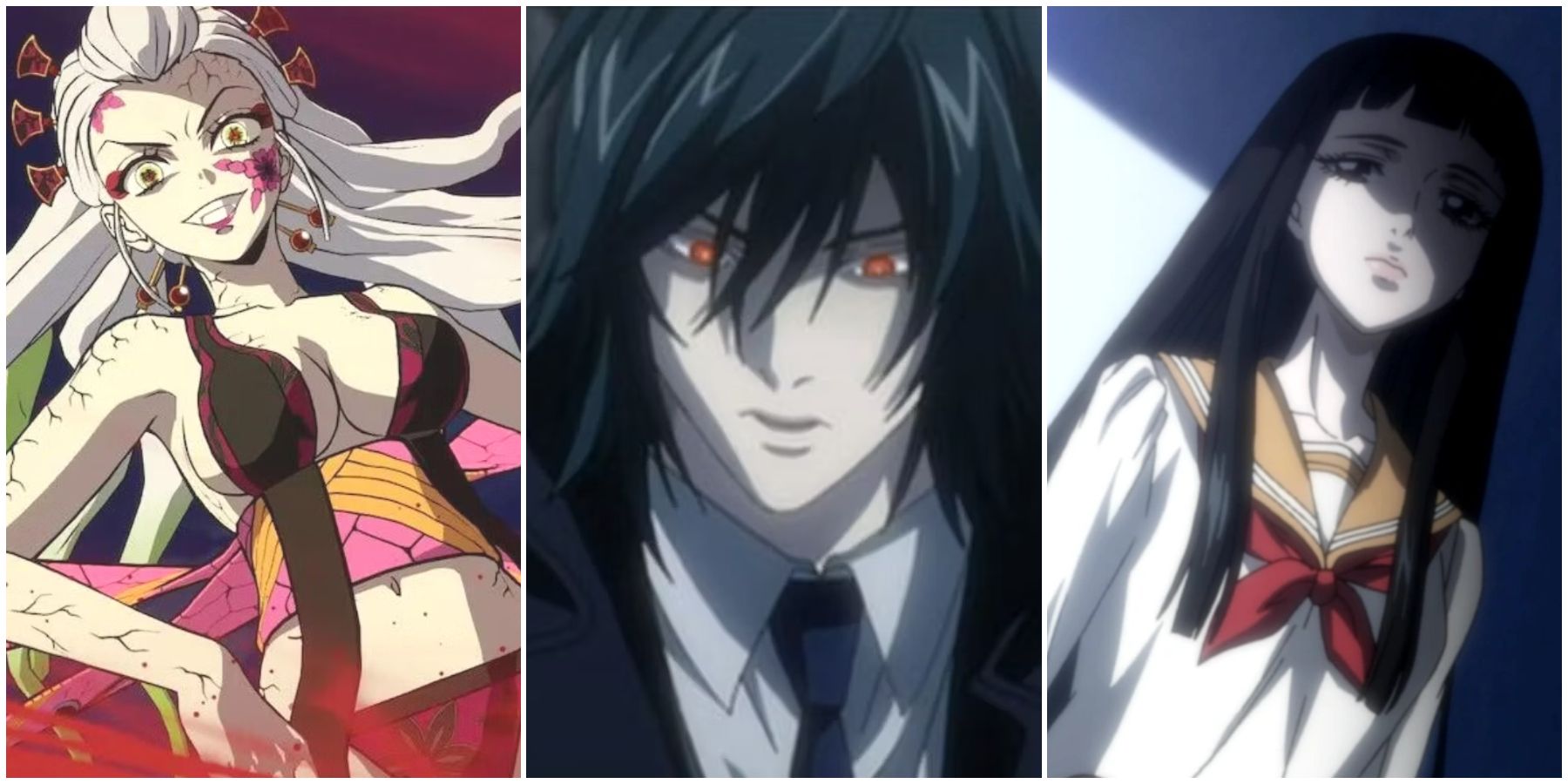 Anime That Have Decoy Protagonists
