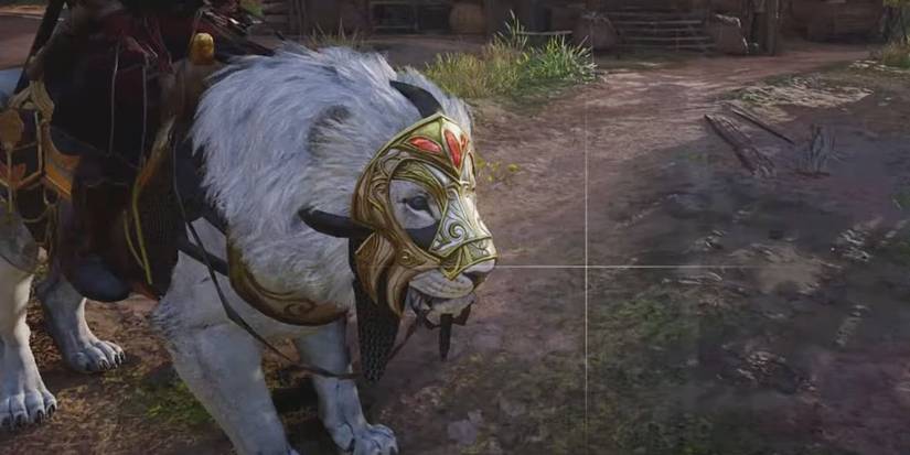 Assassin's Creed Valhalla Sunlight Mount on wolf close up