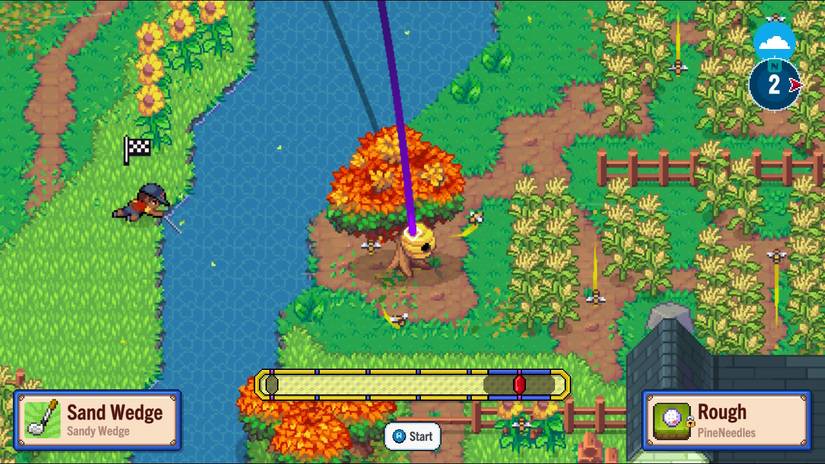 beehive bees sports story