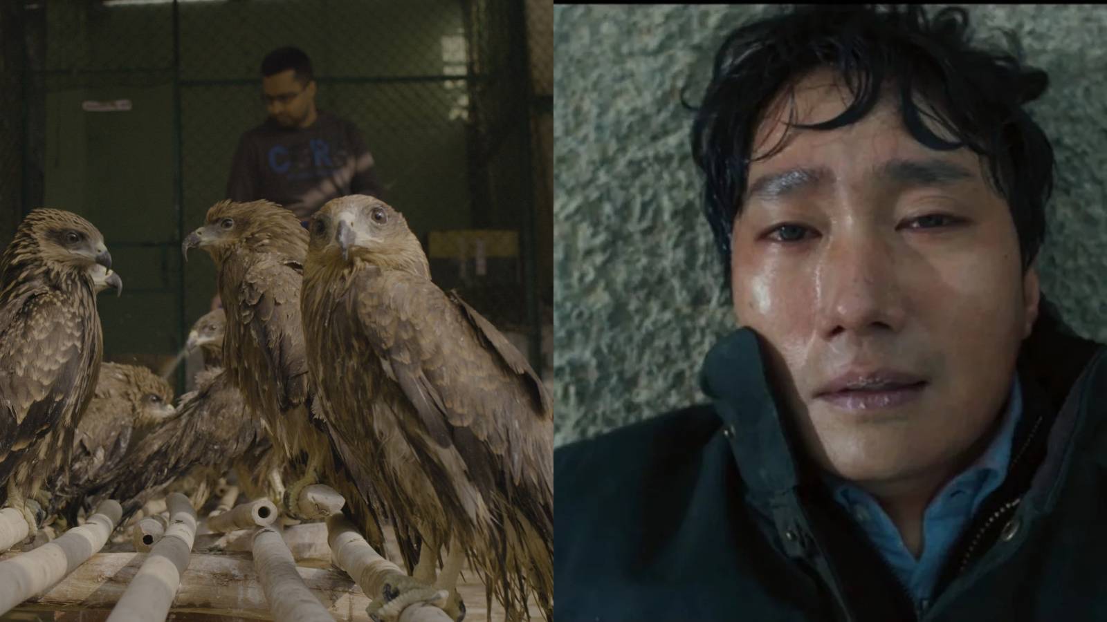 best-foreign-language-films-2022