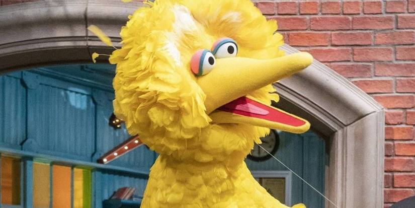 big bird entry image