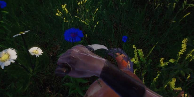 Player collects meat from an animal to regain health