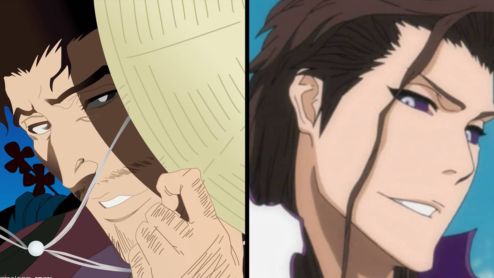 bleach aizen shunsui 