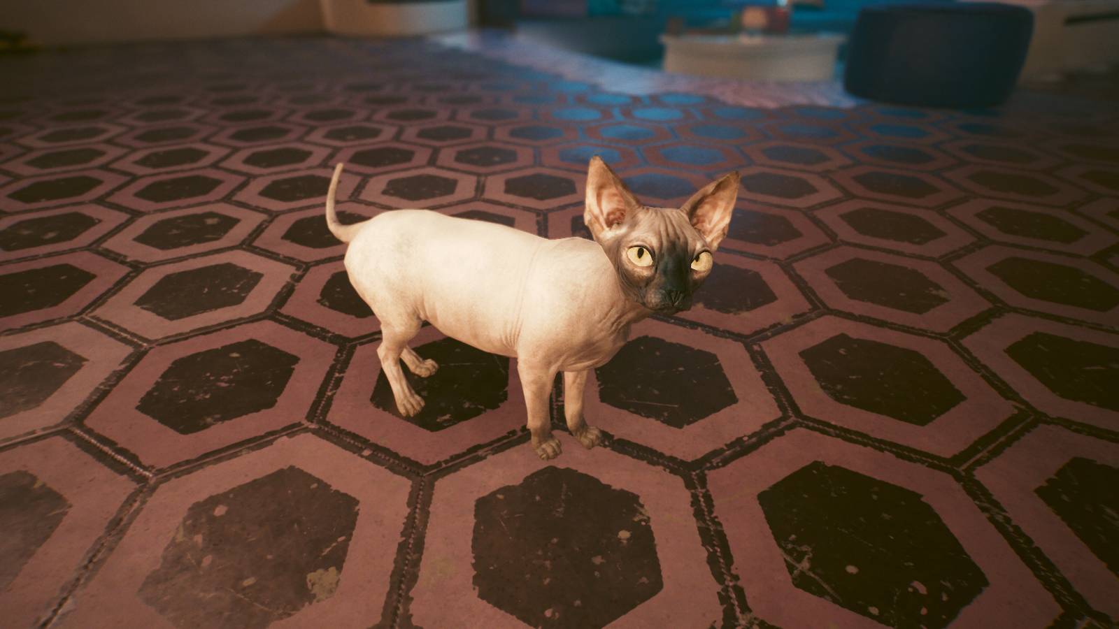 Cyberpunk 2077: Where to Find the Pet Cat