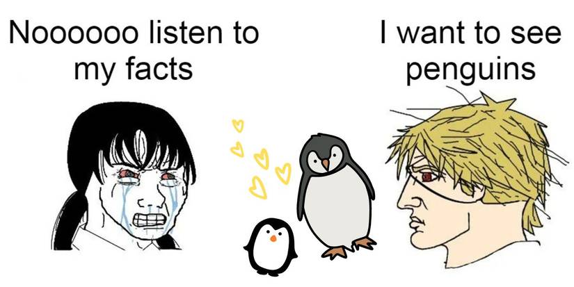 Chainsaw Man Denji And Asa Penguin Meme