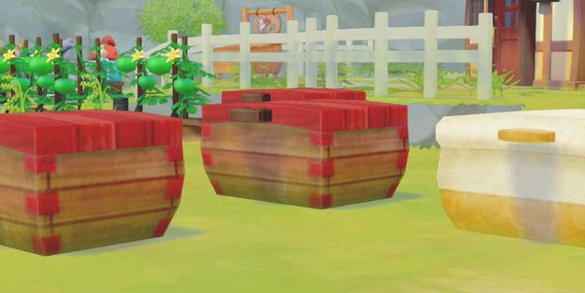 Chests in Pioneers of Olive Town