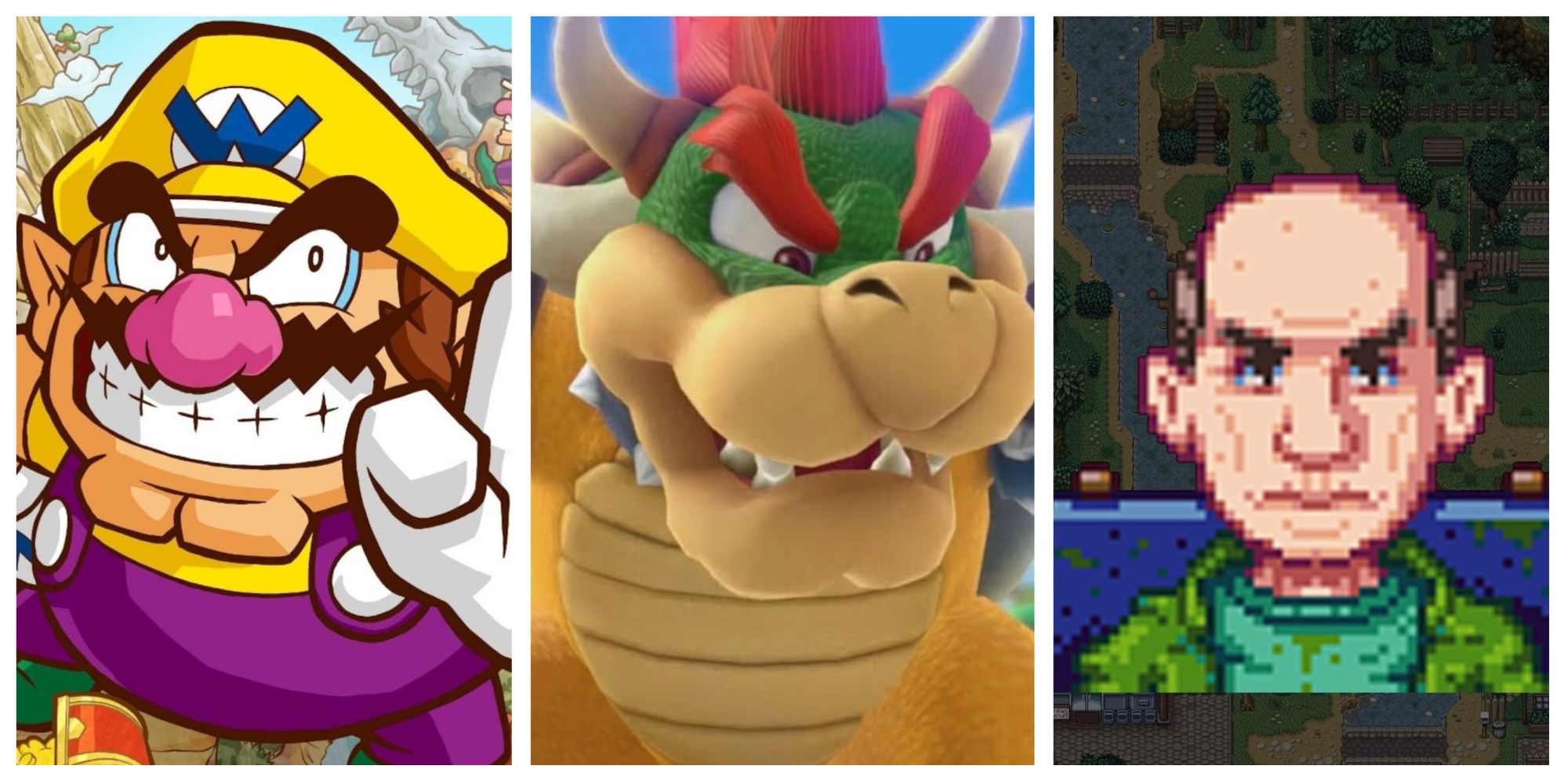 From Left to Right: Wario from Wario Land: Shake It, Bowser from Super Mario Bros., and George from Stardew Valley.