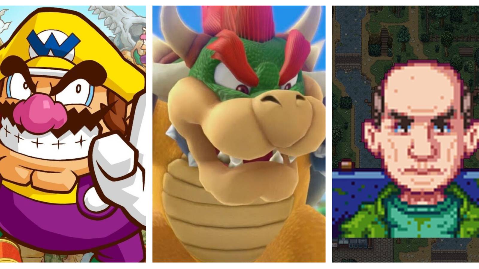 From Left to Right: Wario from Wario Land: Shake It, Bowser from Super Mario Bros., and George from Stardew Valley.