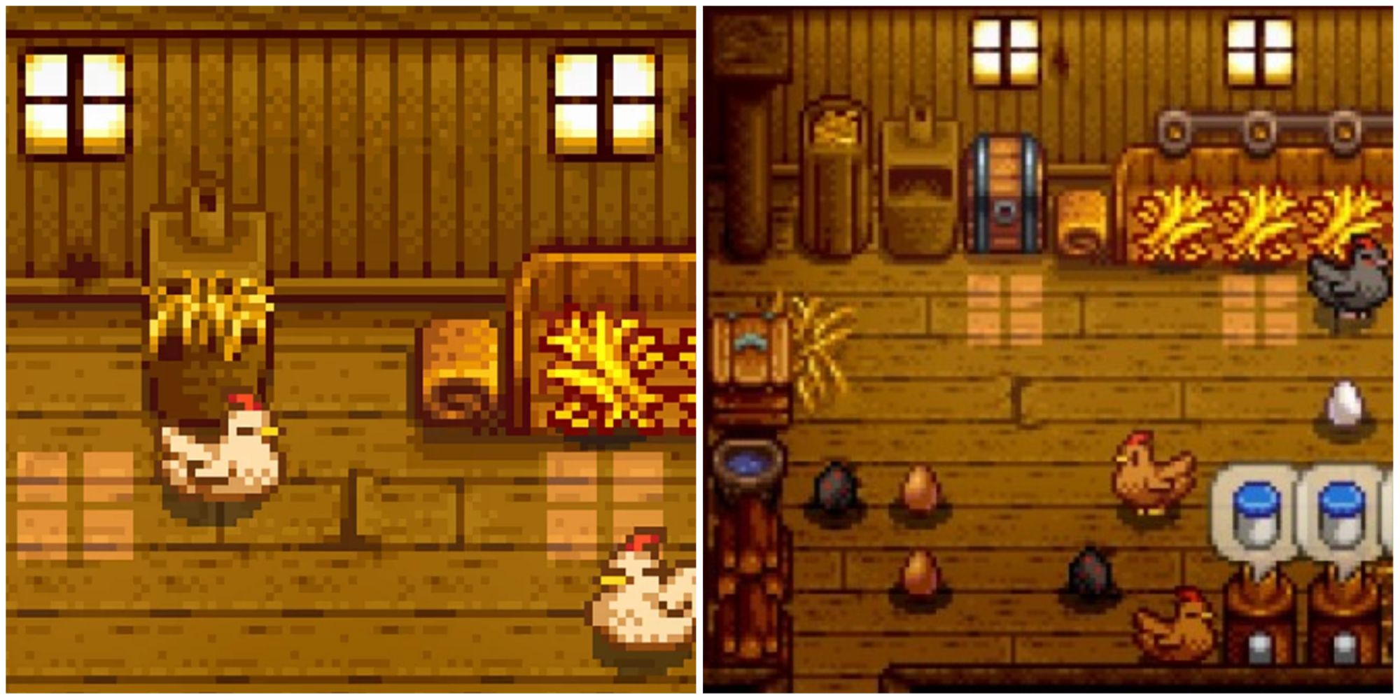 Stardew Valley, different chickens in the coop