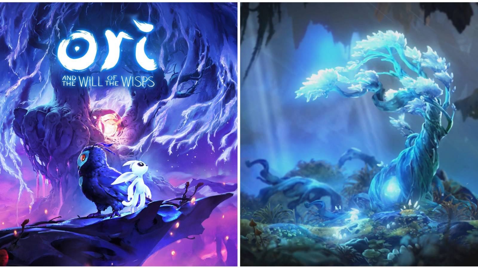 Ori and the Will of the Wisps, Midnight Burrows guide