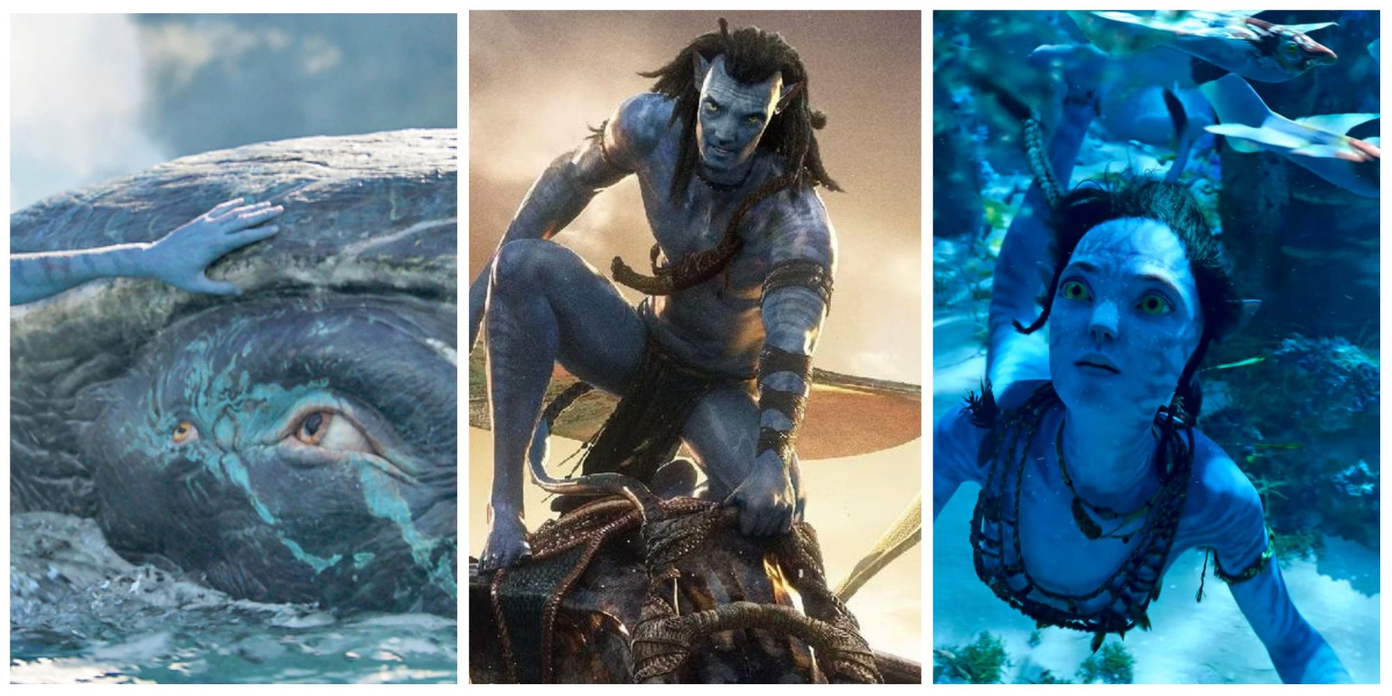 pictures from avatar 2, avatar: way of the water